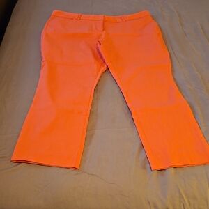 Vibrant Orange Pants